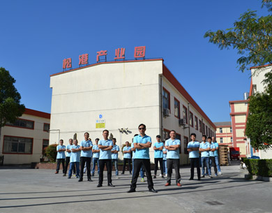 国产淫乱AV麻豆国产AV机电业务团队